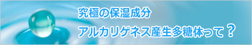 アルカリゲネス産生多糖体とは