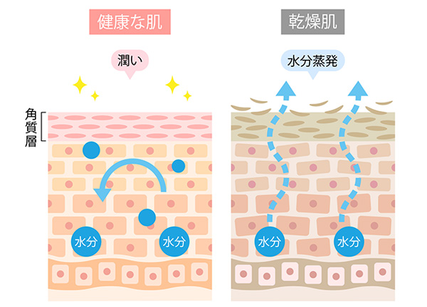 DeepRose　ハーバル　モイストローション（高浸透ハーバル極潤化粧水）