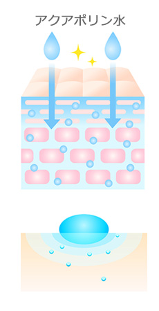 アクアポリン水