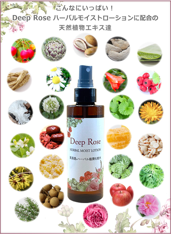 DeepRose　ハーバル　モイストローション（高浸透ハーバル極潤化粧水）