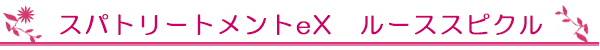 スパトリートメントeX　ルーススピクル