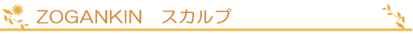 ZOGANKIN　スカルプ