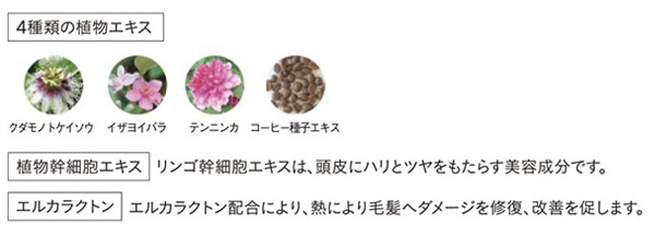 For オーセンティック シャンプー&トリートメント