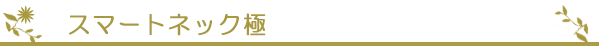 スマートネック極