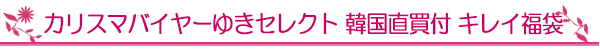 カリスマバイヤーゆきセレクト　韓国直買付　キレイ福袋