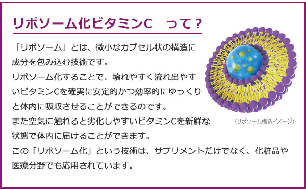 リポソームCホワイトプラス