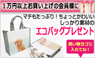 1万円以上　購入者全員プレゼント